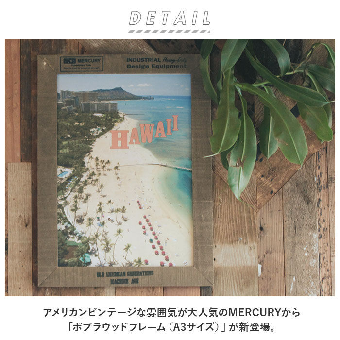BACKYARD FAMILY「マーキュリー フレーム A3 mercury 通販 ポプラウッドフレーム ブランド おしゃれ」|その他|