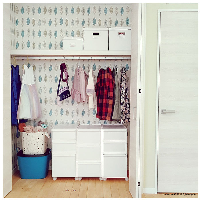 like-it「収納ケース 引き出し 通販 クローゼットシステム L 2個組 ライクイット like it 収納」|その他|