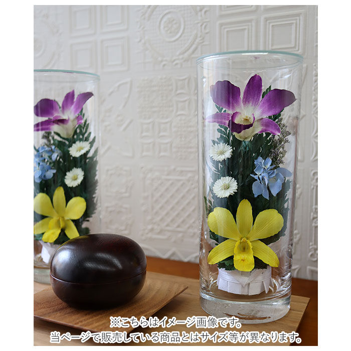 BACKYARD FAMILY「プリザーブドフラワー 仏花 ケース入り 通販 高さ12cm ボトルフラワー グラスフラワー」|その他|