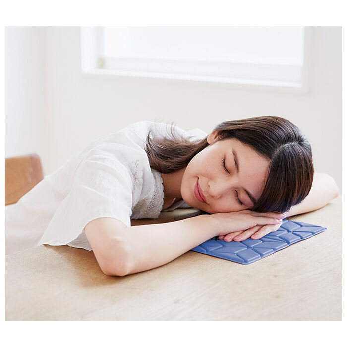 BACKYARD FAMILY「アイス枕 通販 ひんやり 枕 アイスピローシート 暑さ対策 涼しい 長時間キープ 安眠対策」|その他|