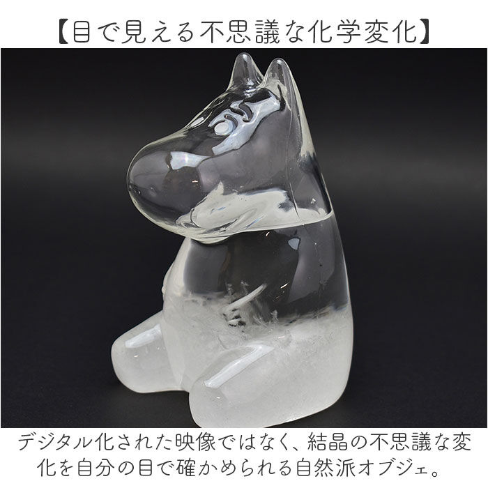 BACKYARD FAMILY「ストームグラス ムーミン 通販 気象計 天気予報 置物 サイエンス 科学 天気 天候 気温」|その他|