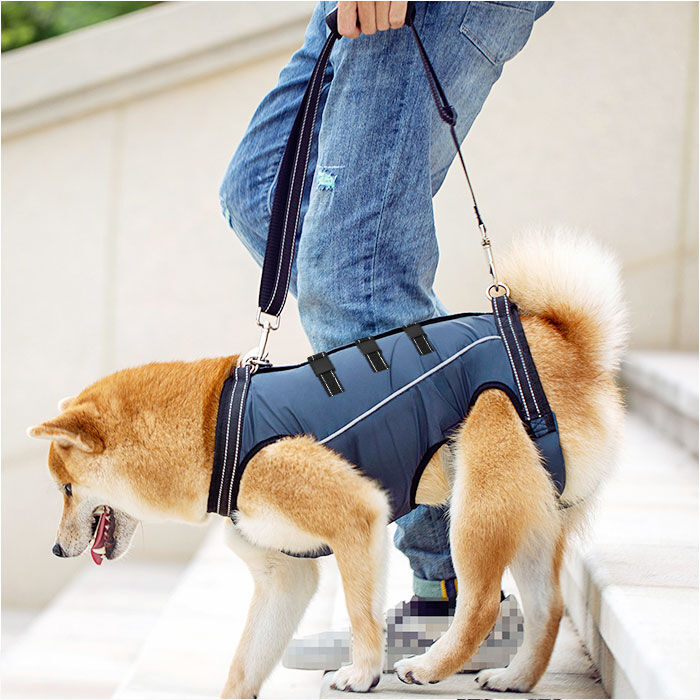 BACKYARD FAMILY「犬 ハーネス 介護用 通販 介護用ハーネス 歩行補助ハーネス 犬用ハーネス 歩行補助 全身サポート」|その他|