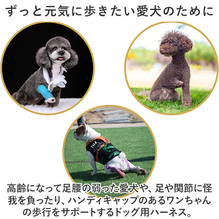 BACKYARD FAMILY「犬 ハーネス 介護用 通販 介護用ハーネス 歩行補助ハーネス 犬用ハーネス 歩行補助 全身サポート」|その他|