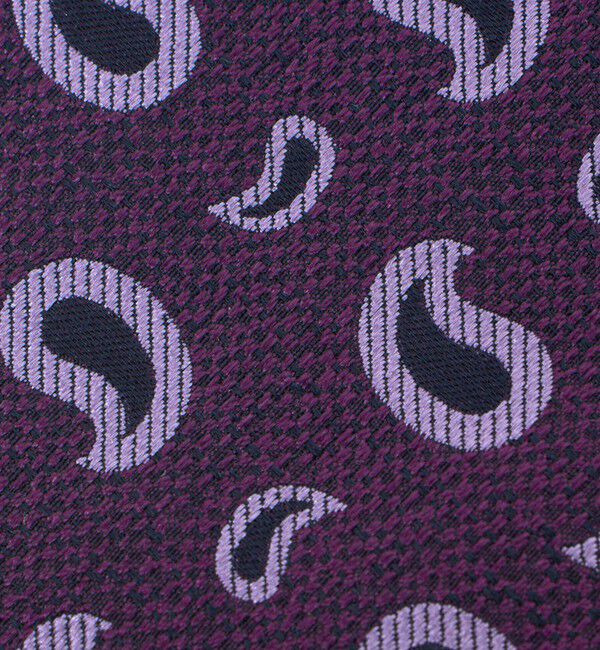 UNITED ARROWS green label relaxing「＜Seaward & Stearn＞8.0cm ペイズリー ネクタイ」|ネクタイ・蝶ネクタイ|