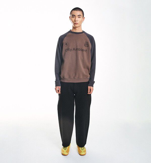 SHIPS「City Ambient Products: ラグランスリーブ プリント スウェット」|スウェット・ジャージ|