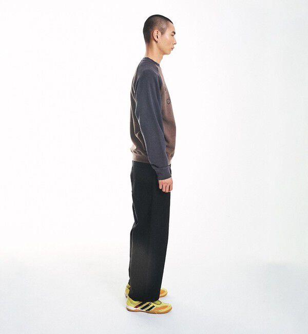 SHIPS「City Ambient Products: ラグランスリーブ プリント スウェット」|スウェット・ジャージ|