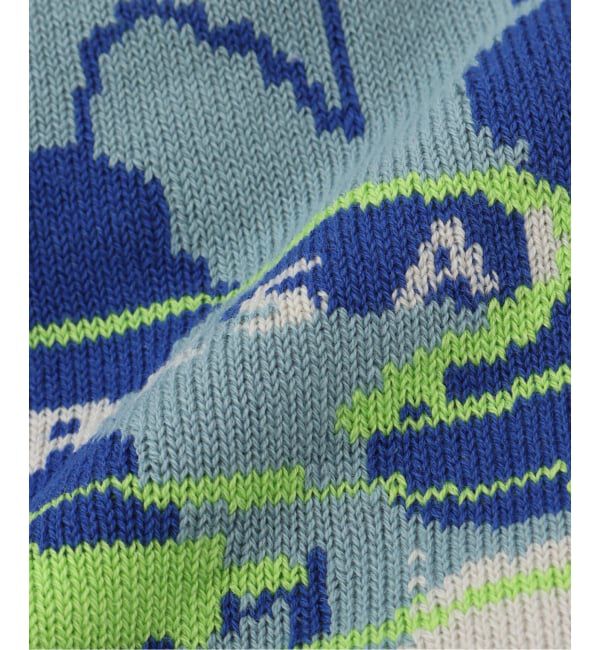 PULP「P.A.M. / パークスアンドミニ BRICK BY BRICK BEANIE」|ニット帽|