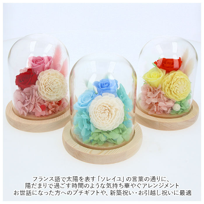 BACKYARD FAMILY「お供え プリザーブドフラワー ガラスドーム 通販 ソレイユ アレンジメント 供養 仏花 供え花」|その他|