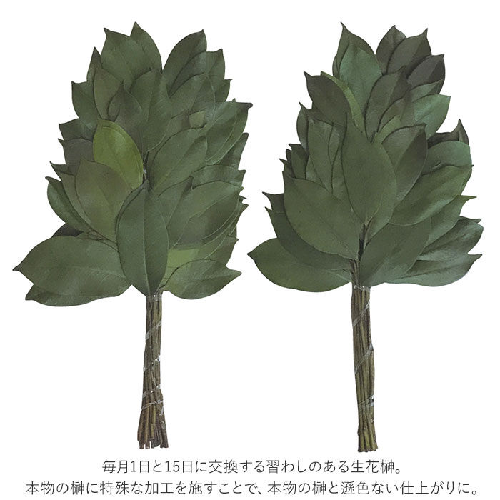BACKYARD FAMILY「プリザーブド 榊 通販 32cm 一対 プリザーブド榊 さかき サカキ 2本 枯れない 水やり不要」|その他|