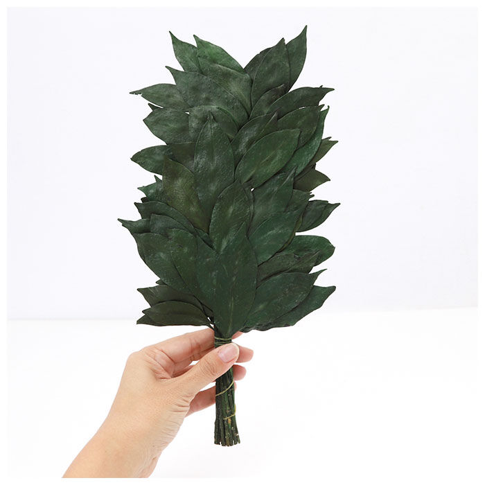 BACKYARD FAMILY「プリザーブド 榊 通販 32cm 一対 プリザーブド榊 さかき サカキ 2本 枯れない 水やり不要」|その他|