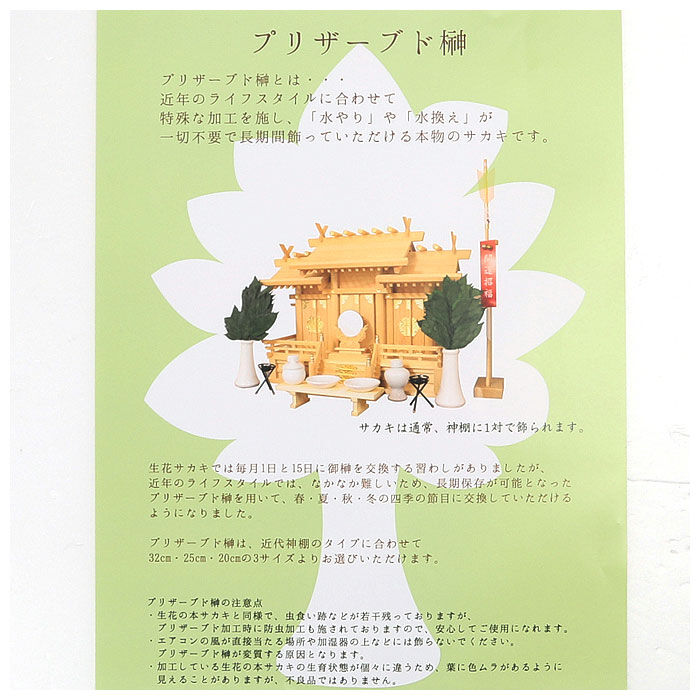 BACKYARD FAMILY「プリザーブド 榊 通販 32cm 一対 プリザーブド榊 さかき サカキ 2本 枯れない 水やり不要」|その他|