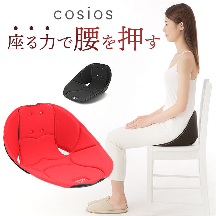 BACKYARD FAMILY「椅子 クッション 通販 ボードクッション cosios コシオス クッション 硬め 座椅子」|その他|