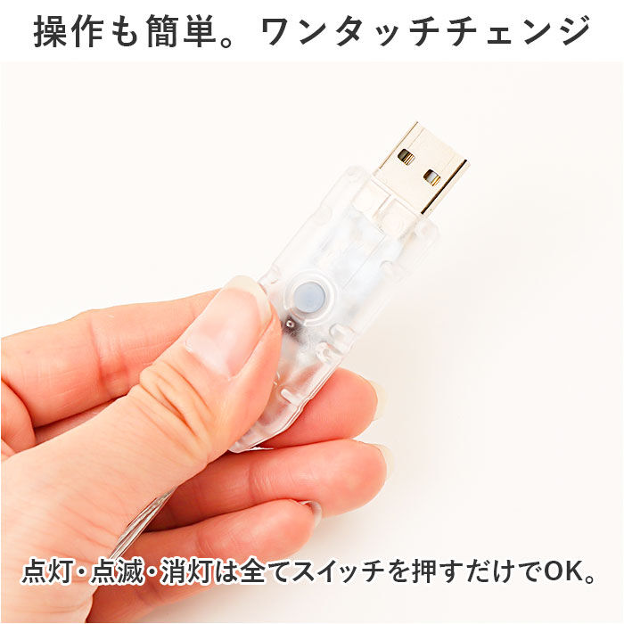 BACKYARD FAMILY「ガーランドライト ライト ミッフィー 通販 間接照明 イルミネーション 照明 電飾 飾り 光り」|その他|