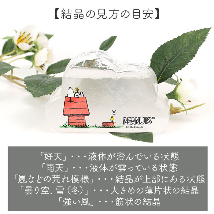 BACKYARD FAMILY「茶谷産業 ストームグラス キャラクター 通販 サイエンスオブジェ サイエンス雑貨 置物 置き物」|その他|