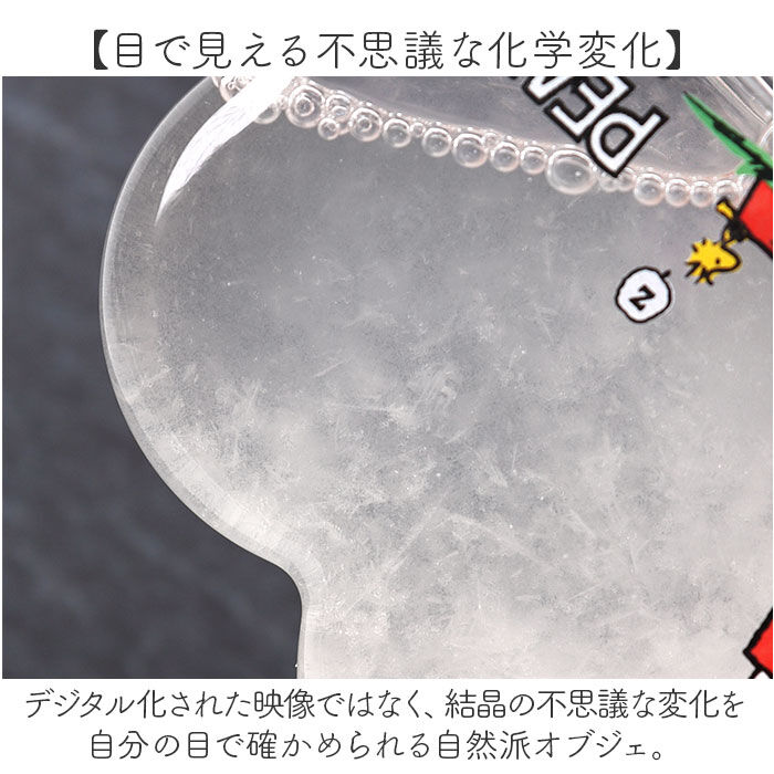 BACKYARD FAMILY「茶谷産業 ストームグラス キャラクター 通販 サイエンスオブジェ サイエンス雑貨 置物 置き物」|その他|