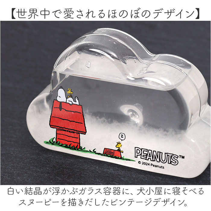 BACKYARD FAMILY「茶谷産業 ストームグラス キャラクター 通販 サイエンスオブジェ サイエンス雑貨 置物 置き物」|その他|