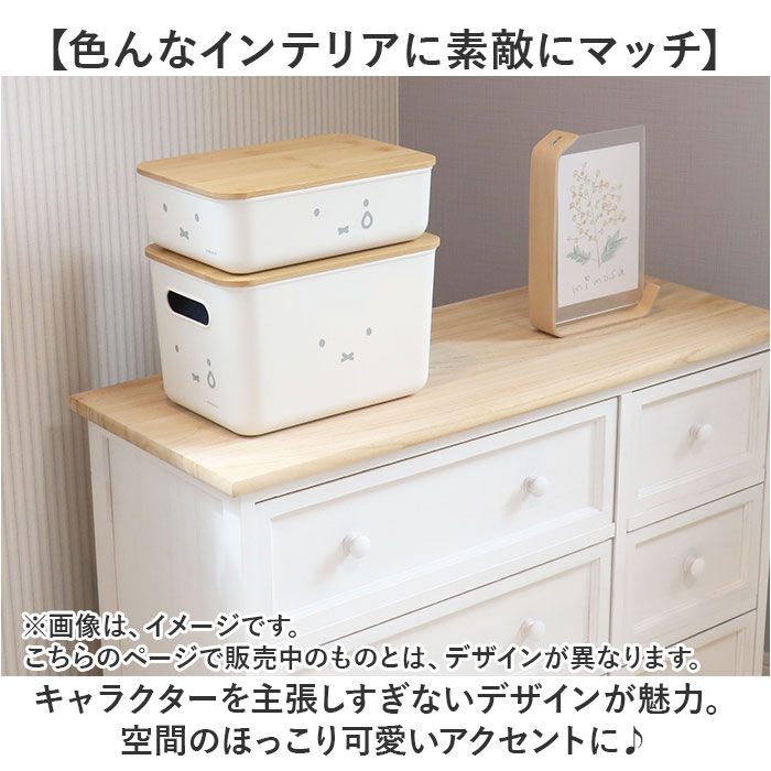 BACKYARD FAMILY「Dick Bruna ディックブルーナ 収納ケース キャラクター 通販 収納ボックス 収納」|その他|