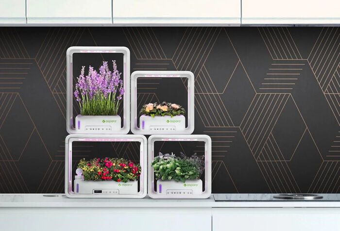 BACKYARD FAMILY「水耕栽培キット 通販 水耕栽培 野菜栽培 家庭菜園 屋内用水耕栽培キット 自動水やり 室内菜園」|その他|