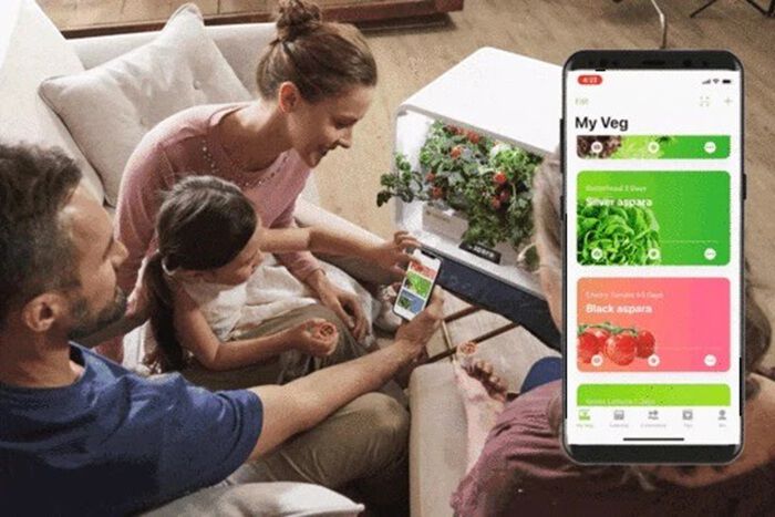 BACKYARD FAMILY「水耕栽培キット 通販 水耕栽培 野菜栽培 家庭菜園 屋内用水耕栽培キット 自動水やり 室内菜園」|その他|