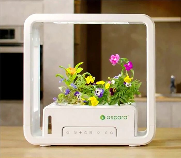 BACKYARD FAMILY「水耕栽培キット 通販 水耕栽培 野菜栽培 家庭菜園 屋内用水耕栽培キット 自動水やり 室内菜園」|その他|