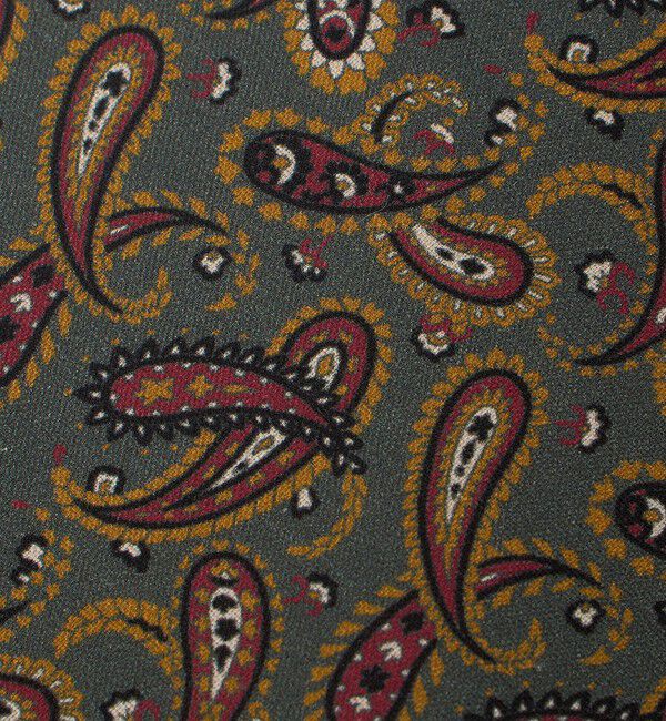 UNITED ARROWS「＜ERRICO FORMICOLA＞ペイズリー プリント ネクタイ」|ネクタイ・蝶ネクタイ|