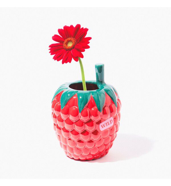 BEAMS「DOIY / RASBERRY フラワーベース」|その他|