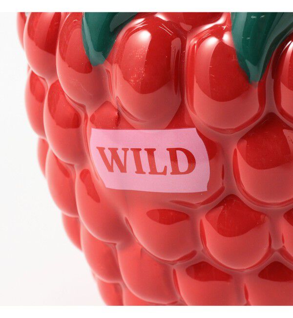 BEAMS「DOIY / RASBERRY フラワーベース」|その他|