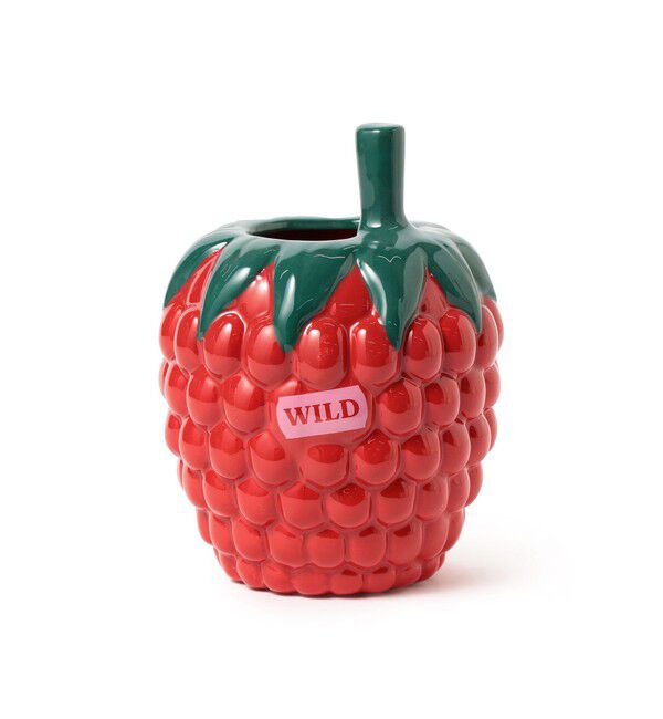 BEAMS「DOIY / RASBERRY フラワーベース」|その他|