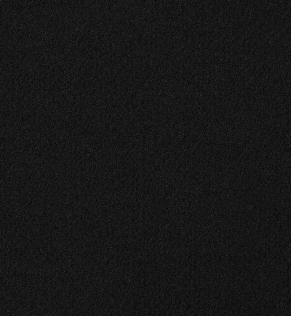 GALERIE VIE「ウールダブルクレープ バックボタンワンピース」|ワンピース|