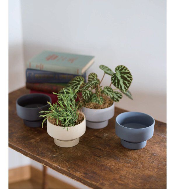journal standard Furniture「POT SANNA LOW 8　プラントポット 鉢 サンナ」|その他|
