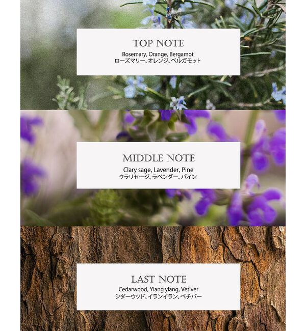 Rouge vif「【FIT YOUR SKIN/フィットユアスキン】アロエセラミストセラム/化粧品」|その他|