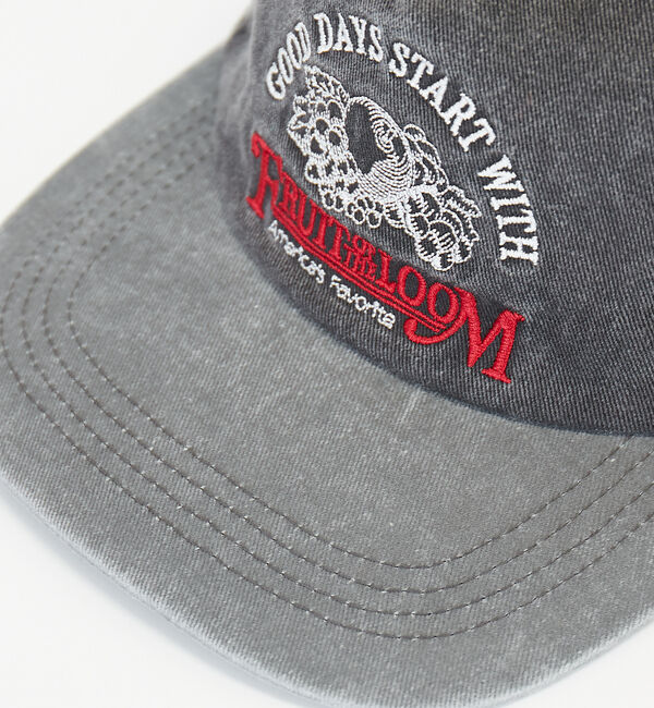 Rouge vif「【FRUIT OF THE LOOM/フルーツ・オブ・ザ・ルーム】PIGMENT」|その他|