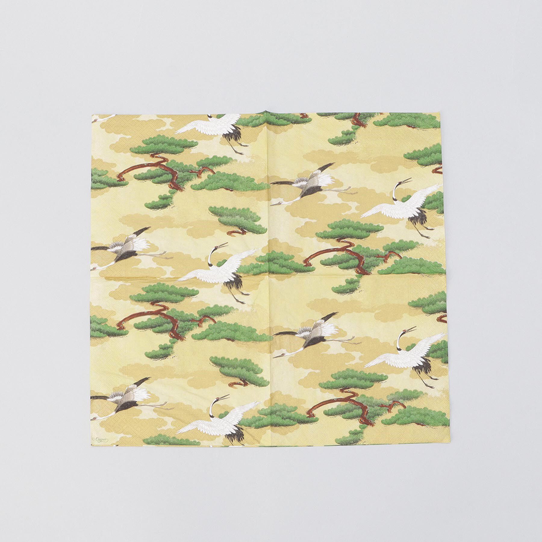 212 KITCHEN STORE「カスパリペーパータオル 10枚 クレインズ GD」|食器・キッチングッズ|