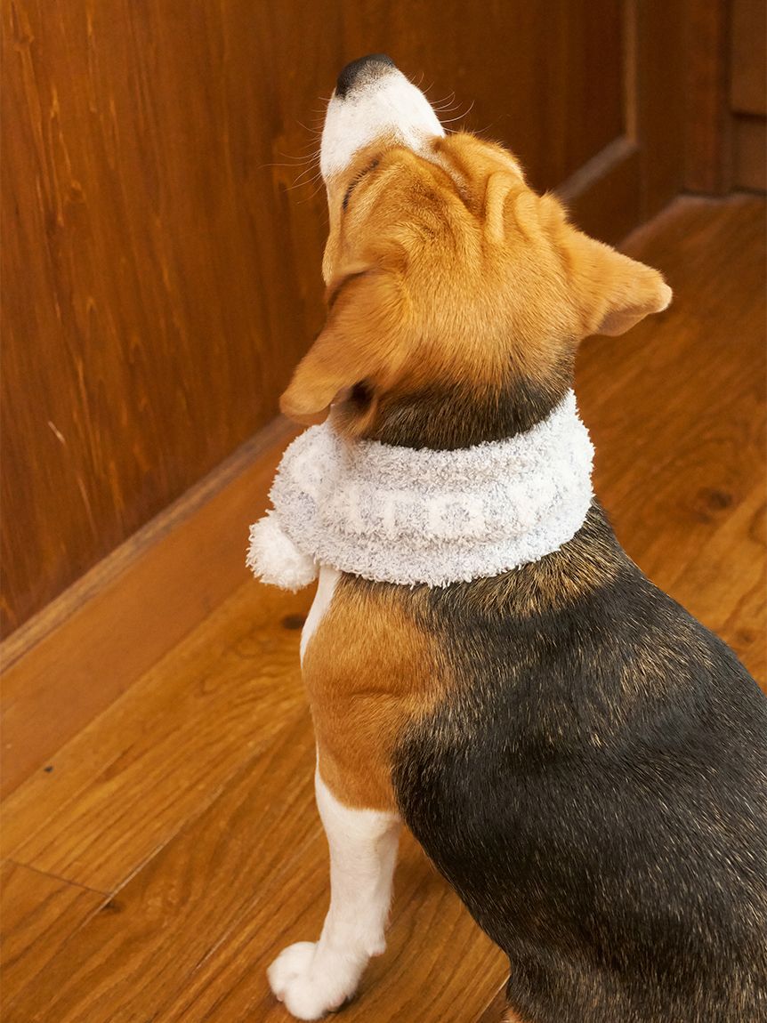  GELATO PIQUE CAT&DOG「【CAT&DOG】ジェラートメランジマフラー」|その他|