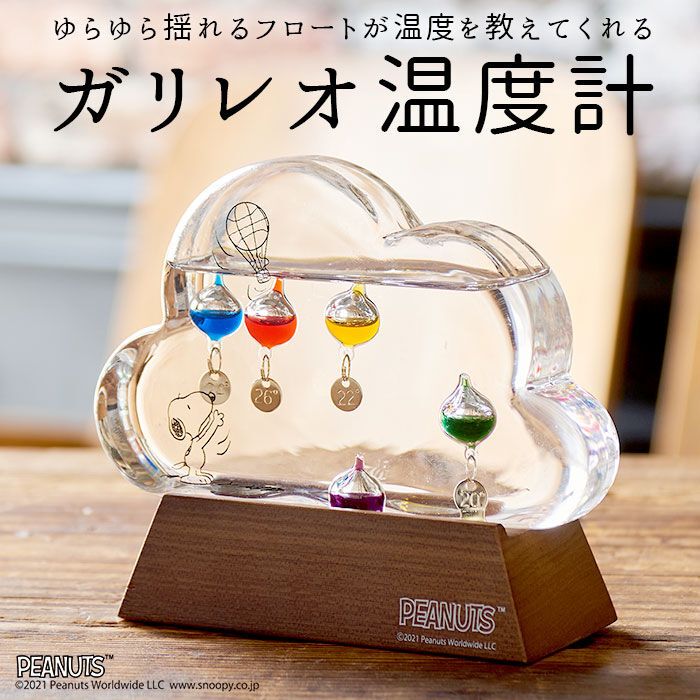 BACKYARD FAMILY「温度計 おしゃれ 通販 キャラクター スヌーピー グッズ 大人 向け ガラスフロート温度計」|その他|