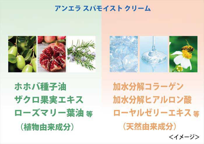 BACKYARD FAMILY「クリーム 通販 An Era アンエラ 日本 30g ジェル状のクリーム 天然温泉水配合」|その他|