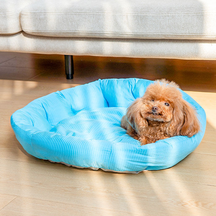 BACKYARD FAMILY「ペットベット ひんやり 通販 ラウンドペットベッド ラウンド ペットマット クールパッド」|その他|