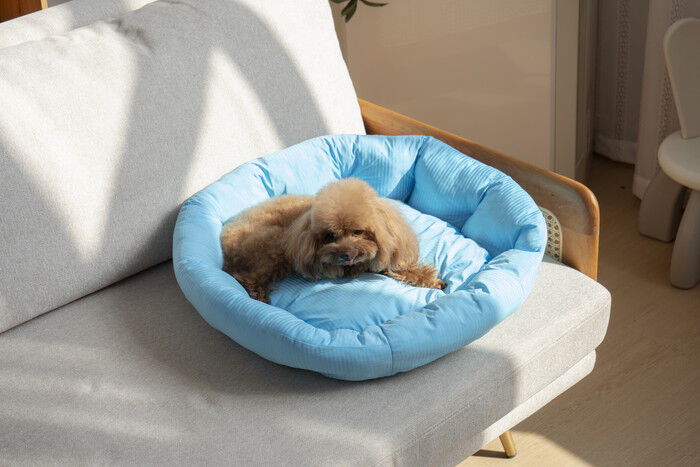 BACKYARD FAMILY「ペットベット ひんやり 通販 ラウンドペットベッド ラウンド ペットマット クールパッド」|その他|