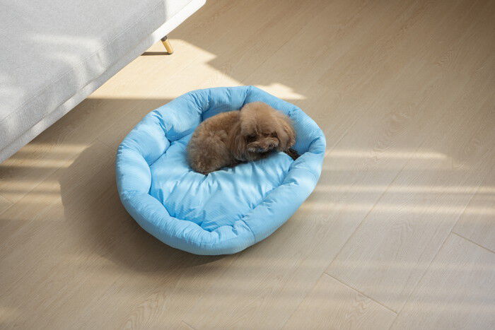 BACKYARD FAMILY「ペットベット ひんやり 通販 ラウンドペットベッド ラウンド ペットマット クールパッド」|その他|