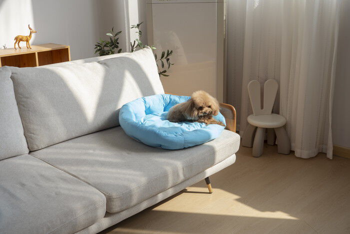 BACKYARD FAMILY「ペットベット ひんやり 通販 ラウンドペットベッド ラウンド ペットマット クールパッド」|その他|