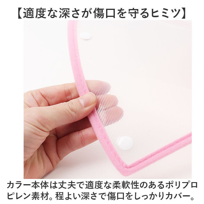 BACKYARD FAMILY「エリザベスカラー 犬 猫 ベル型 XL 通販 猫用エリザベスカラー 犬用エリザベスカラー ソフト」|その他|