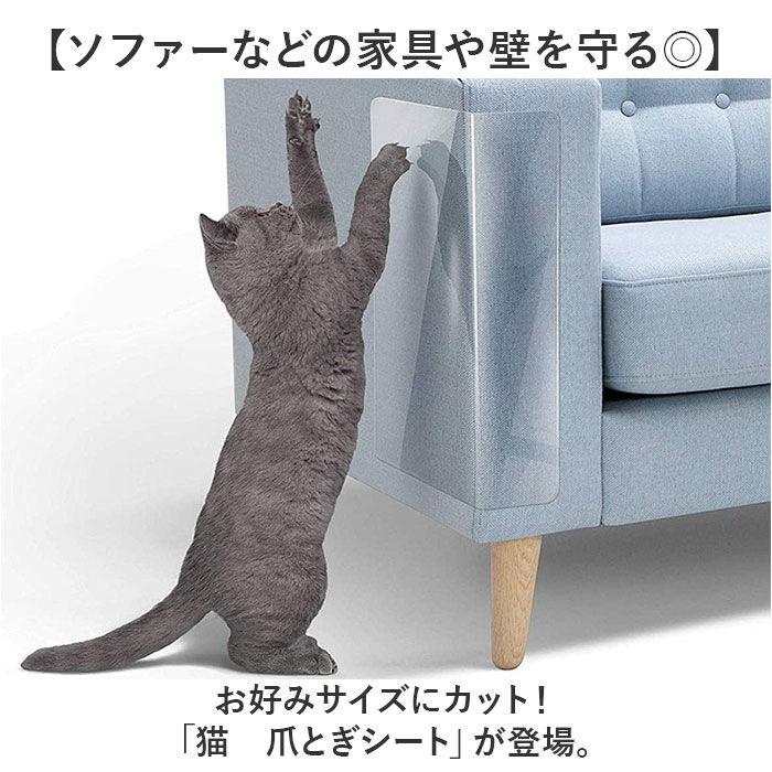 BACKYARD FAMILY「猫 爪とぎシート 通販 爪とぎ防止シート 爪とぎ防止ステッカー ステッカー シート 家具保護シート」|その他|