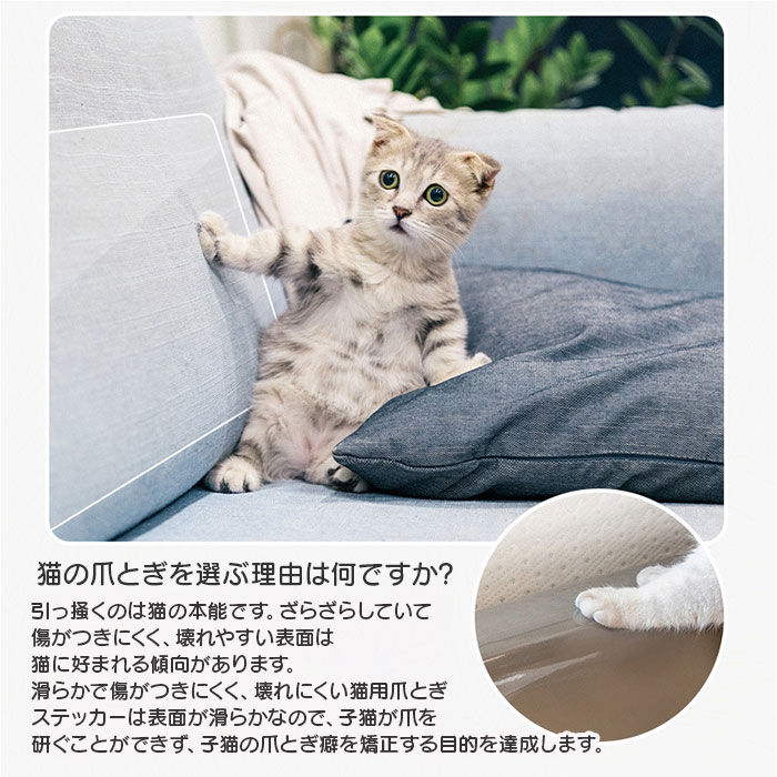 BACKYARD FAMILY「猫 爪とぎシート 通販 爪とぎ防止シート 爪とぎ防止ステッカー ステッカー シート 家具保護シート」|その他|