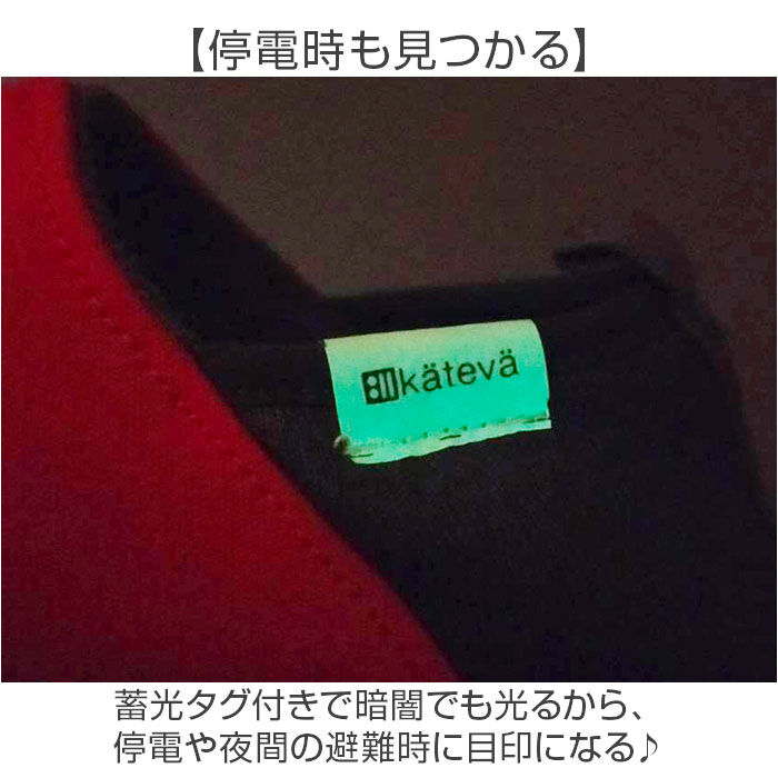 BACKYARD FAMILY「防災スリッパ 踏み抜き防止 通販 防災ルームシューズ スリッパ 防災 携帯スリッパ 折らない」|ルームシューズ|