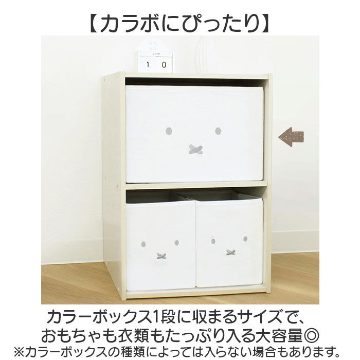 BACKYARD FAMILY「ストレージBOX 通販 カラーボックス用インナーボックス ぬいぐるみ 収納 収納ボックス」|その他|