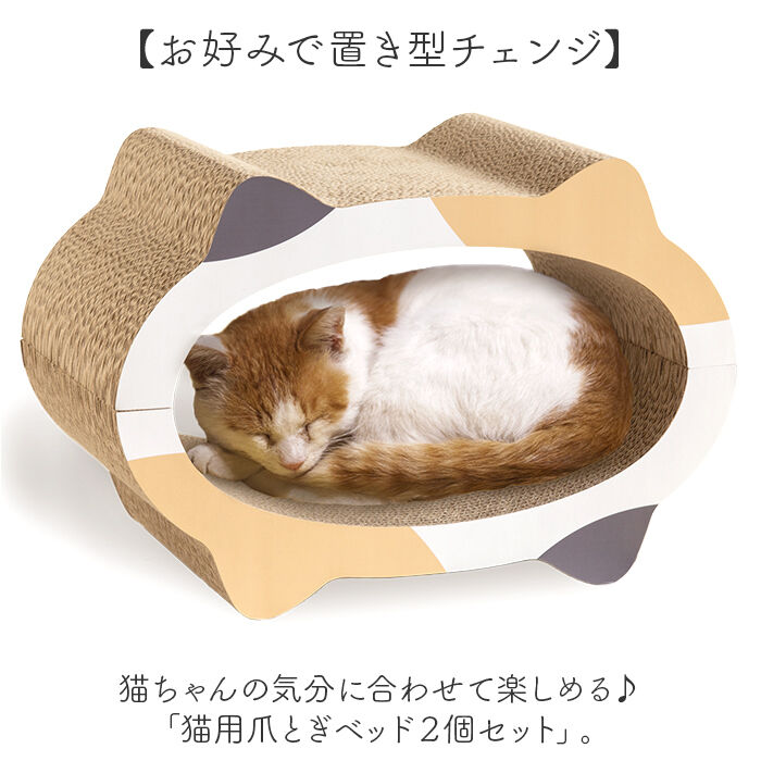 BACKYARD FAMILY「猫爪とぎベッド 通販 猫 爪とぎ 猫用爪とぎ ダンボール ベッド ペットベッド 猫ベッド 爪研ぎ」|その他|