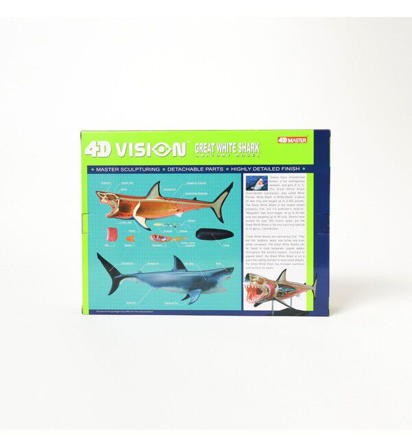 BEAMS「4D MASTER / ANIMAL ANATOMY」|その他|