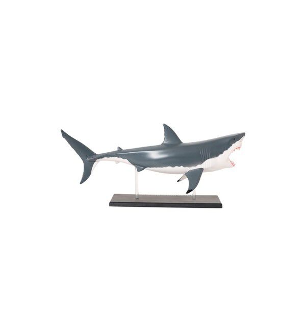 BEAMS「4D MASTER / ANIMAL ANATOMY」|その他|