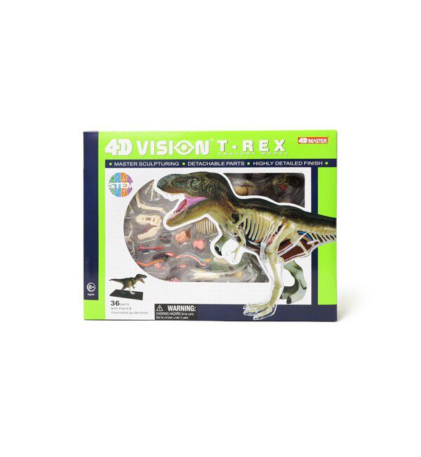 BEAMS「4D MASTER / ANIMAL ANATOMY」|その他|