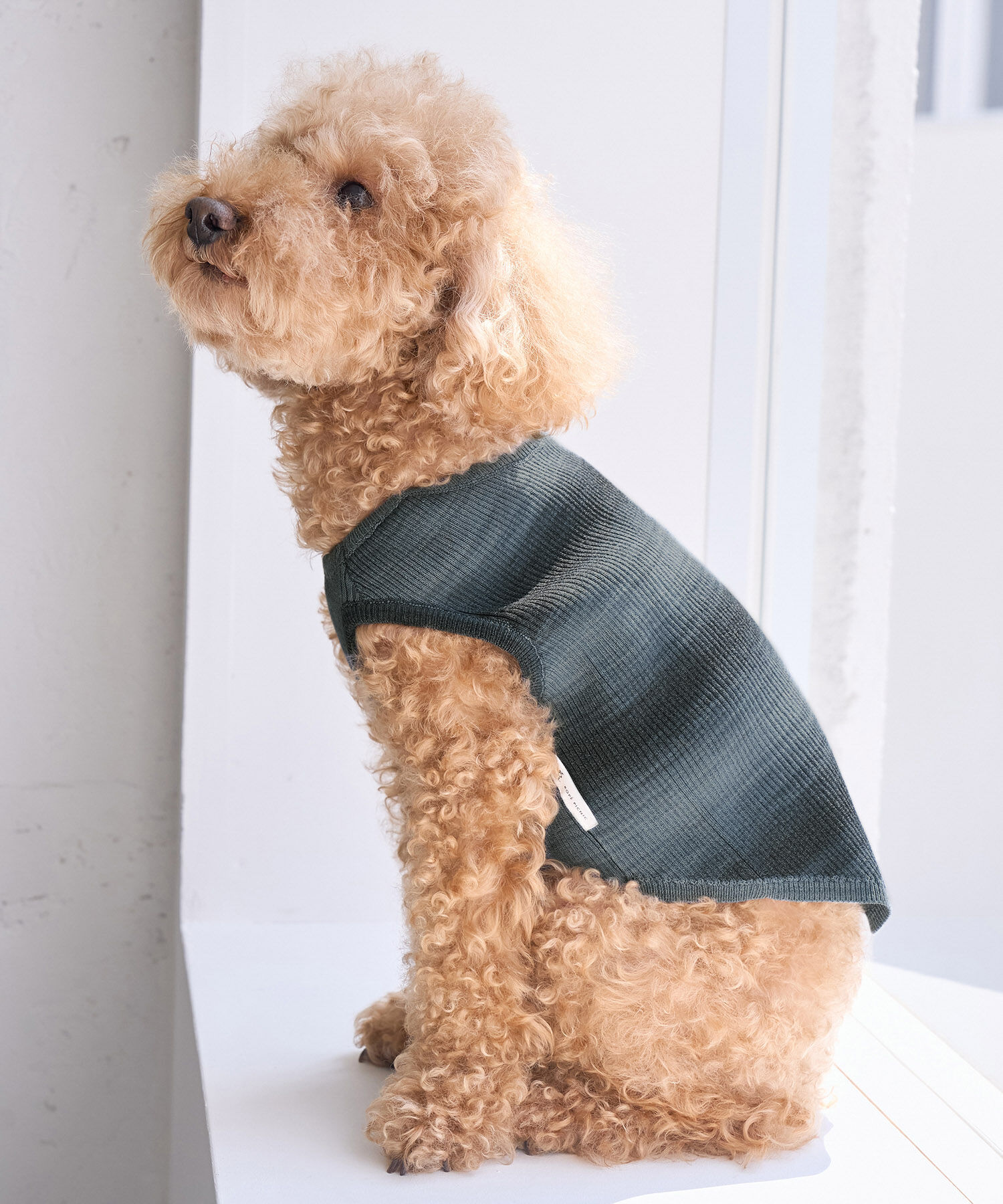 ROPE PICNIC PASSAGE「【DOG】リンクコーデ/ニットタンクトップ」|その他|ブラック系(02)